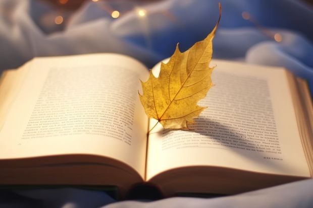 湖南导游专业最好的专科学校 湖南公办职校排名前十名学校