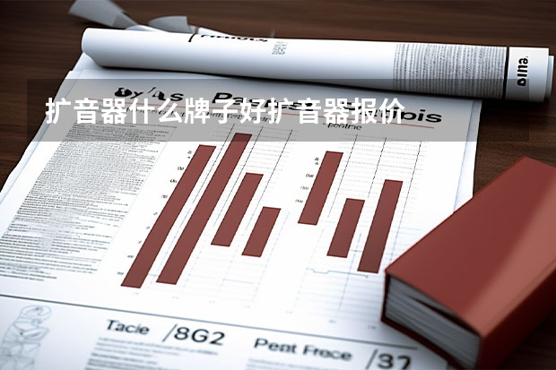 扩音器什么牌子好扩音器报价