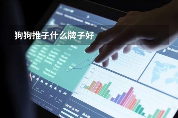 狗狗推子什么牌子好