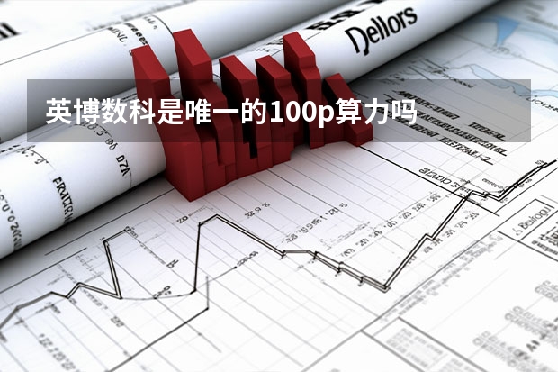 英博数科是唯一的100p算力吗