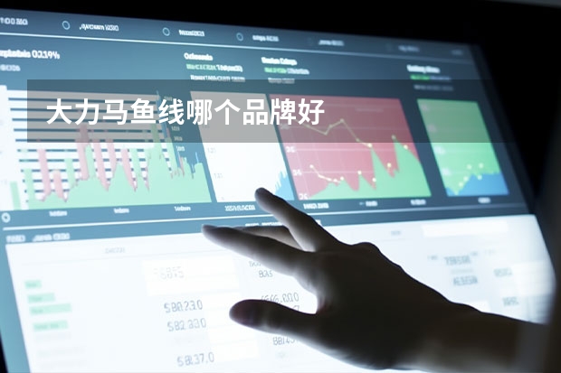 大力马鱼线哪个品牌好