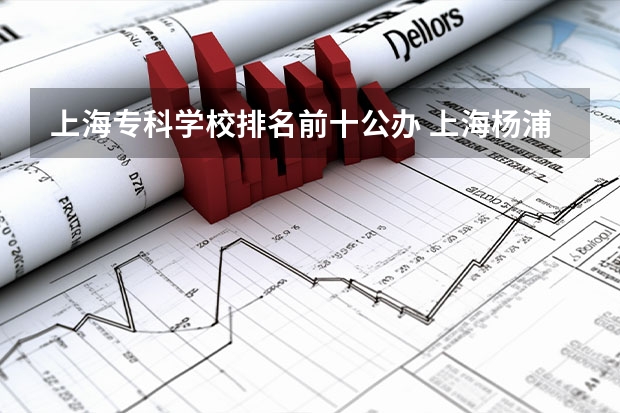 上海专科学校排名前十公办 上海杨浦国际学校排名