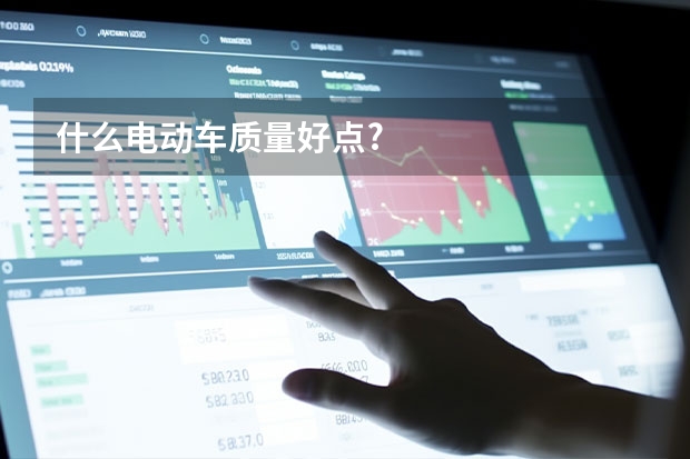 什么电动车质量好点?