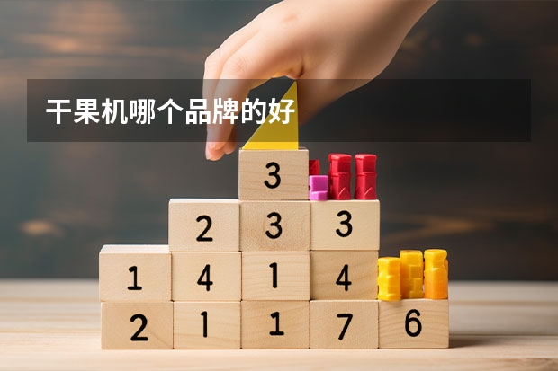 干果机哪个品牌的好