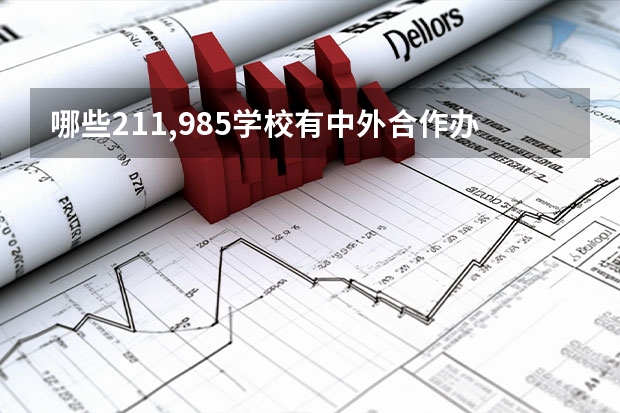 哪些211,985学校有中外合作办学