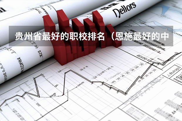 贵州省最好的职校排名（恩施最好的中学排名）