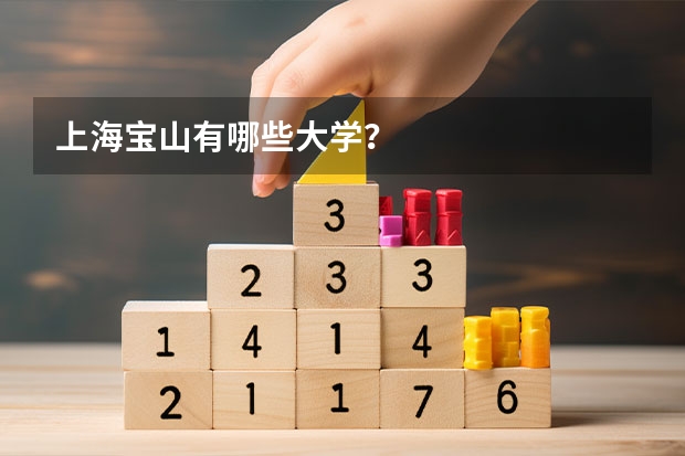 上海宝山有哪些大学？