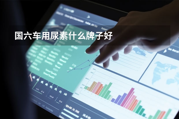 国六车用尿素什么牌子好