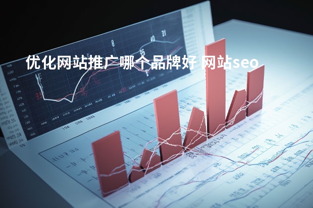 优化网站推广哪个品牌好 网站seo优化公司哪家好？多给我推荐几个吧
