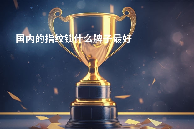 国内的指纹锁什么牌子最好