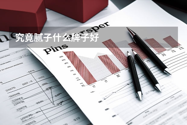 究竟腻子什么牌子好