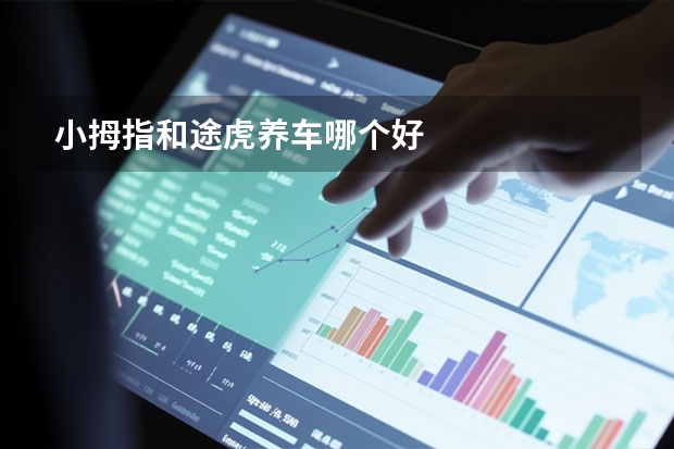 小拇指和途虎养车哪个好