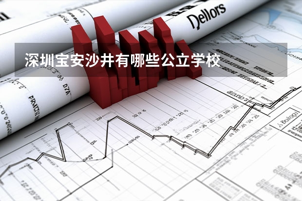 深圳宝安沙井有哪些公立学校