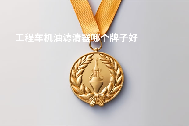 工程车机油滤清器哪个牌子好