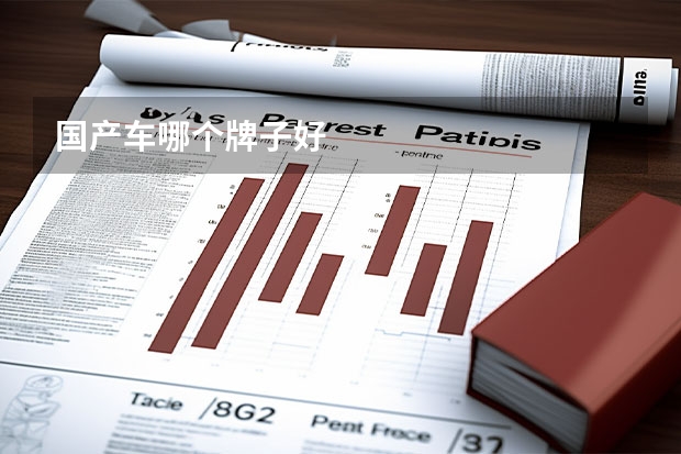 国产车哪个牌子好